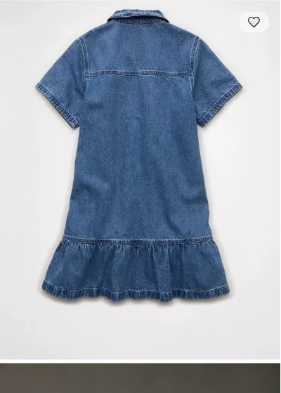 AE Denim Collar Mini Dress