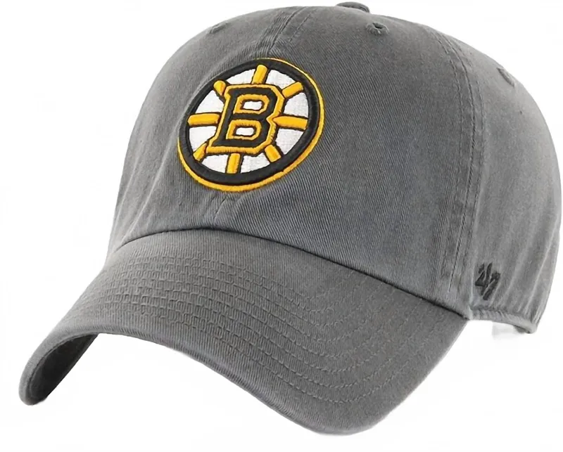 Boston Bruins Clean Up