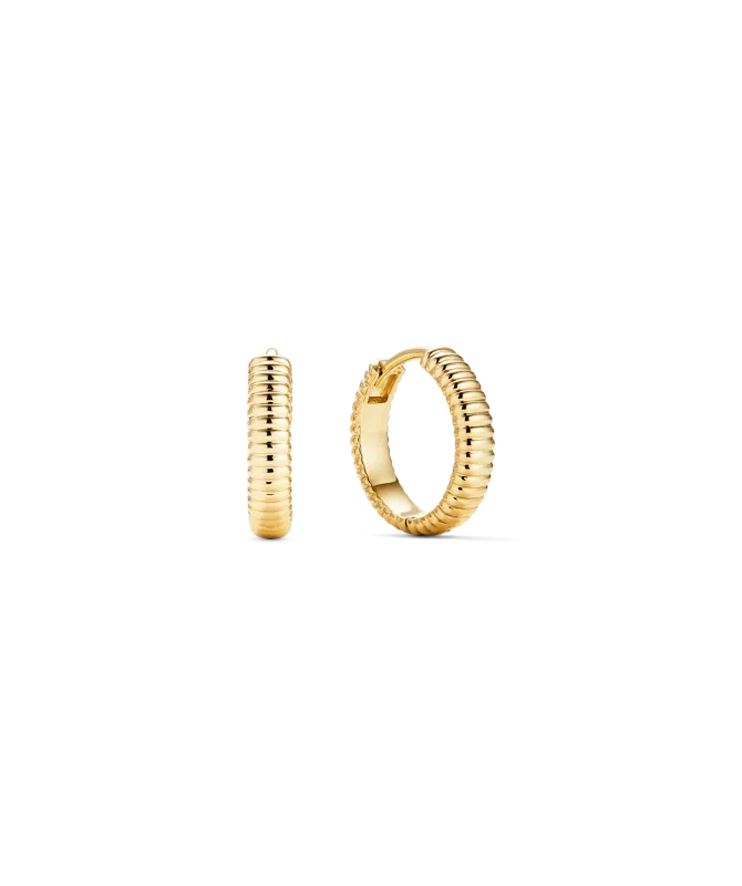 Charlotte Textured Hoops