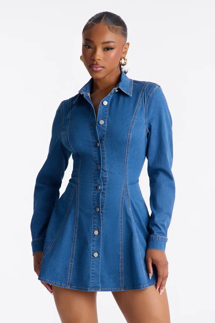 Jessi Long Sleeve Denim Mini Dress Denim