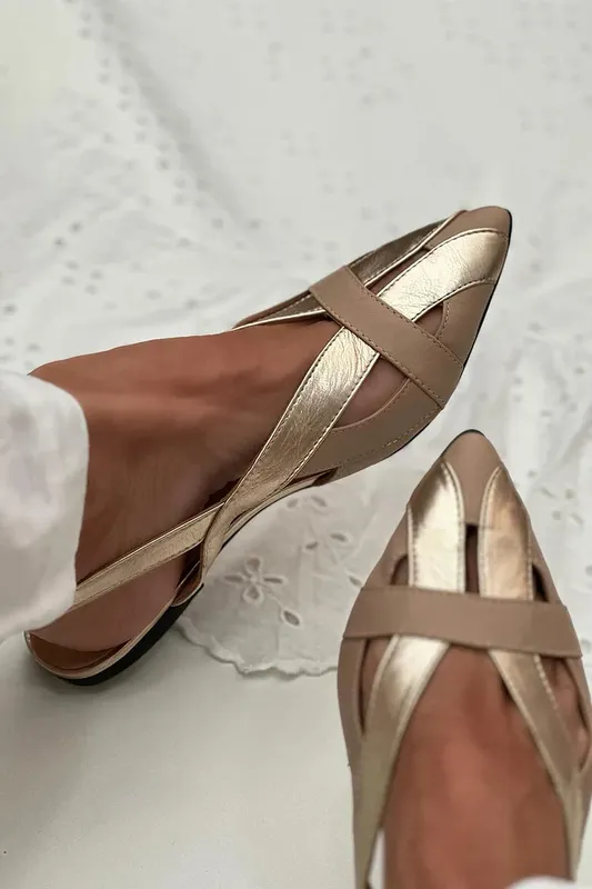 Pointed Toe Gold Flats