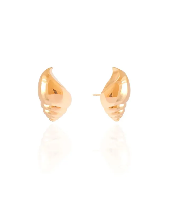 Shell Earrings